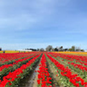 Meet your Posher, Nicky